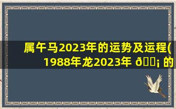 属午马2023年的运势及运程(1988年龙2023年 🐡 的全年运 🐕 势)
